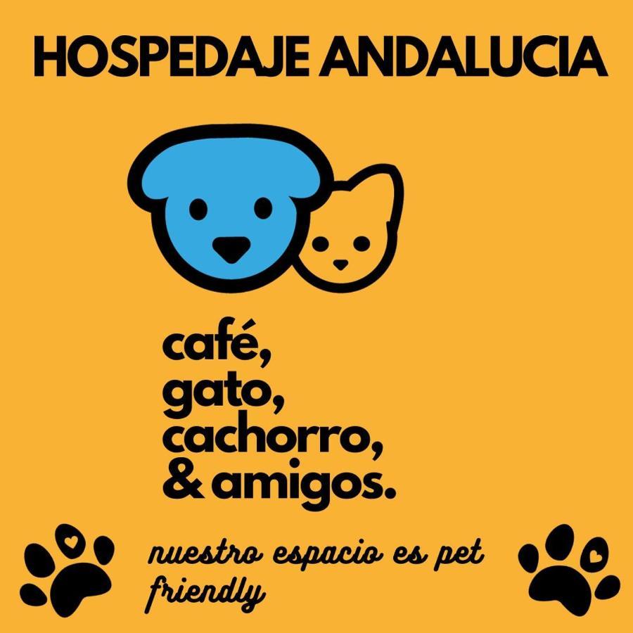 Casa Andalucia Hostel Florianópolis Buitenkant foto